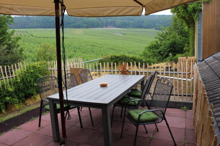 Foersters Weinterrassen Apartment Bad Neuenahr-Ahrweiler Luaran gambar