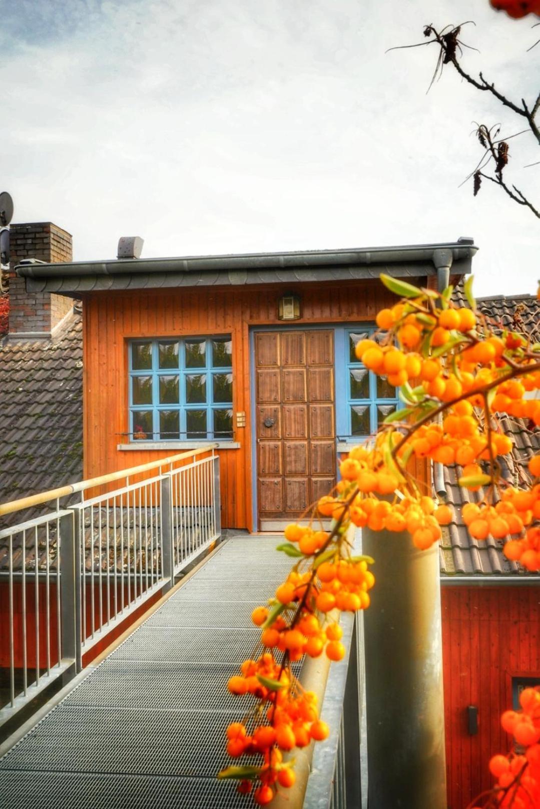 Foersters Weinterrassen Apartment Bad Neuenahr-Ahrweiler Luaran gambar